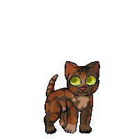 Poplar Pelt